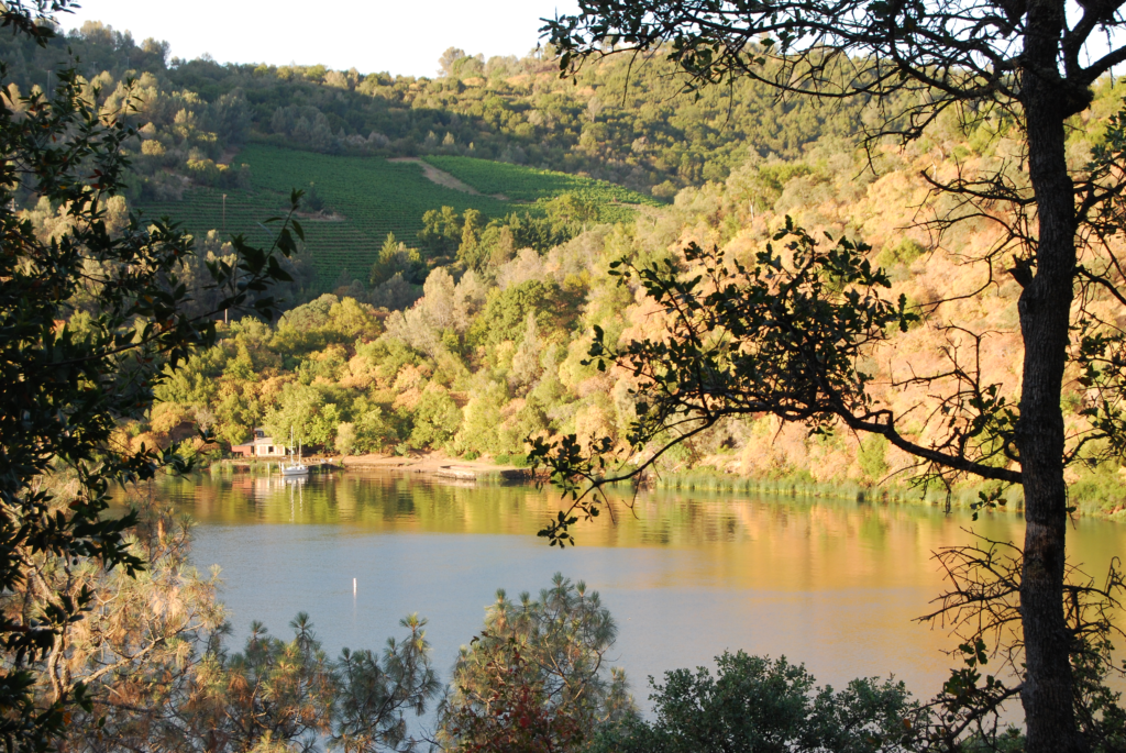 Dorn_bay_clear_lake_state_park image