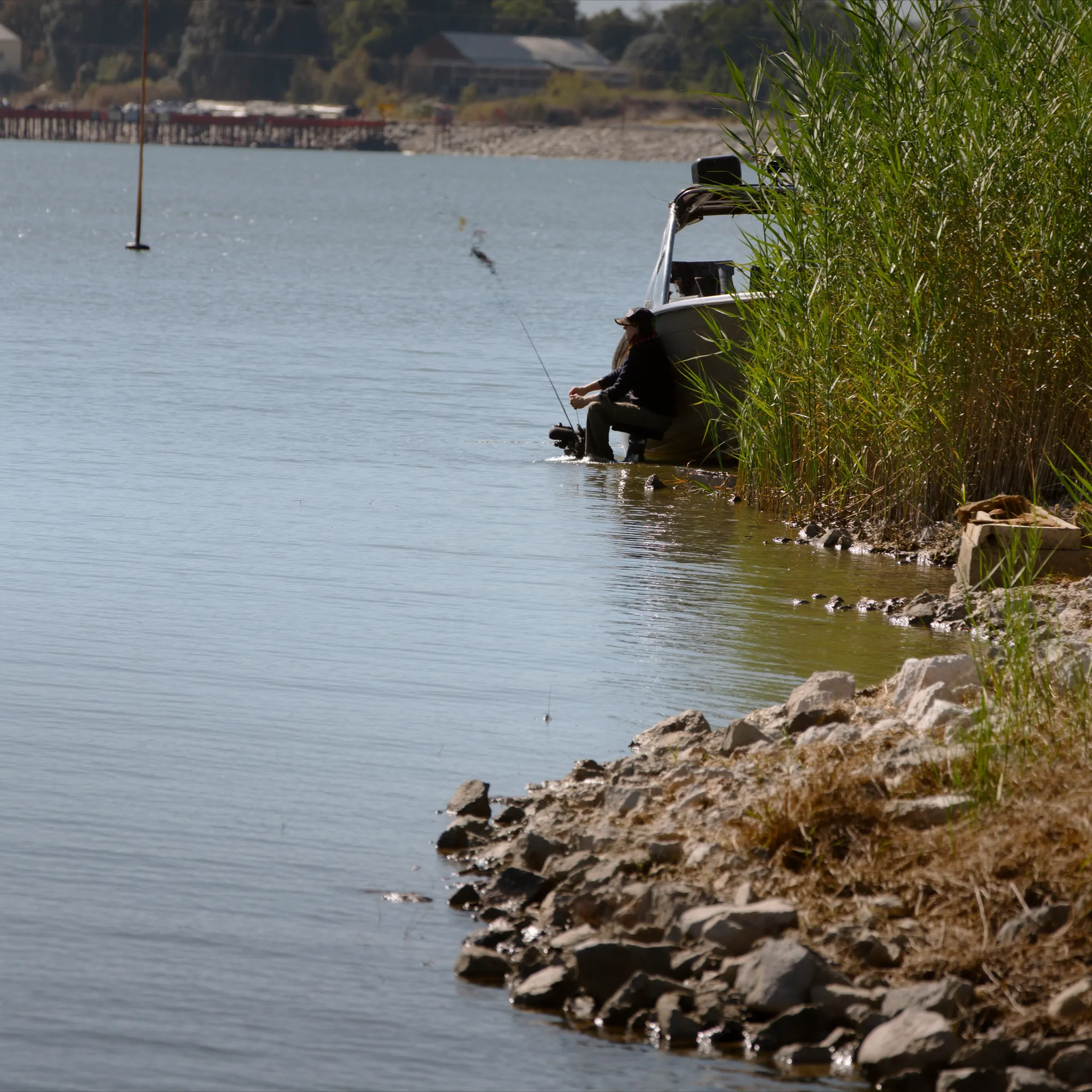 Photorealistic bass boat casting near Clear Lake tule reeds and shoreline