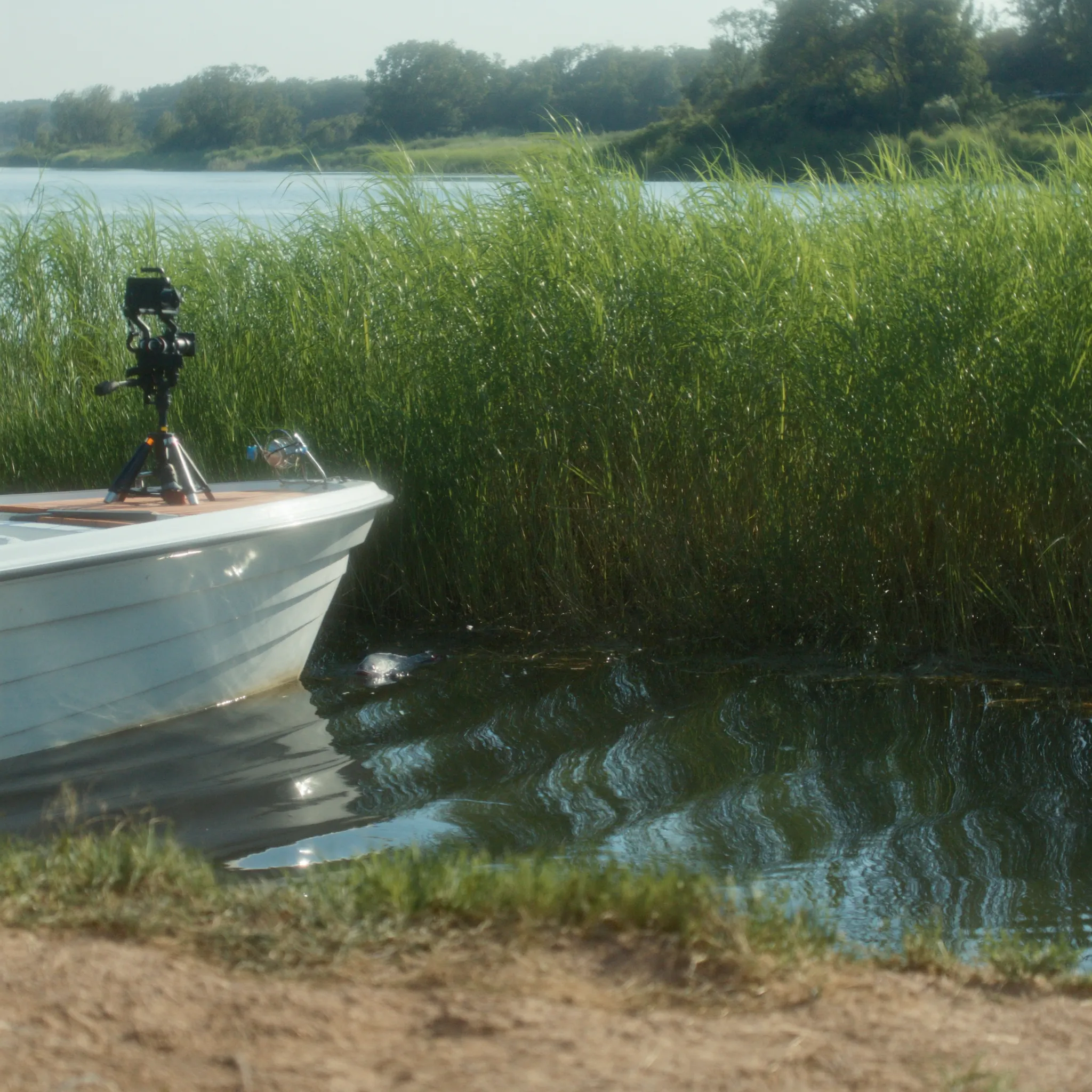 Photorealistic camera filming an angler landing a largemouth bass
